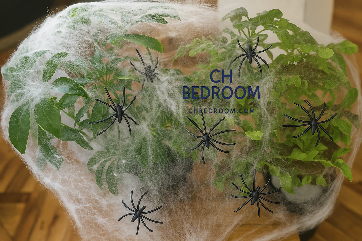 Decorative spider web with spiders on a plant, labeled 'CH Bedroom'. #canada #halloween #canadahalloween #canadadecoration #halloweendecoration #canadaspiderweb #canadaindoordecoration halloweenspiderweb #cheaphalloweendecoration #cheaphalloweenincanada #indoordecoration #outdoordecoration