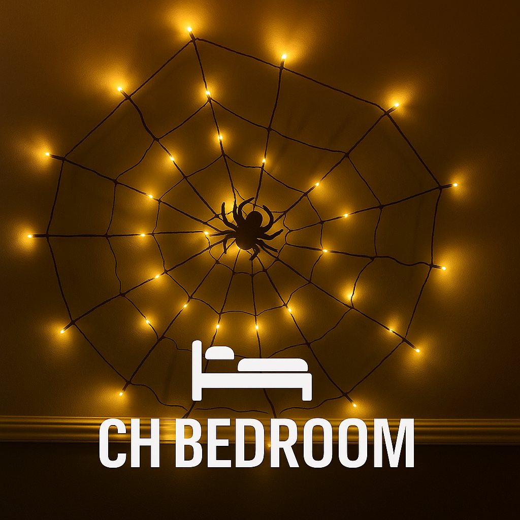 Halloween Giant LED Spider Web Decoration