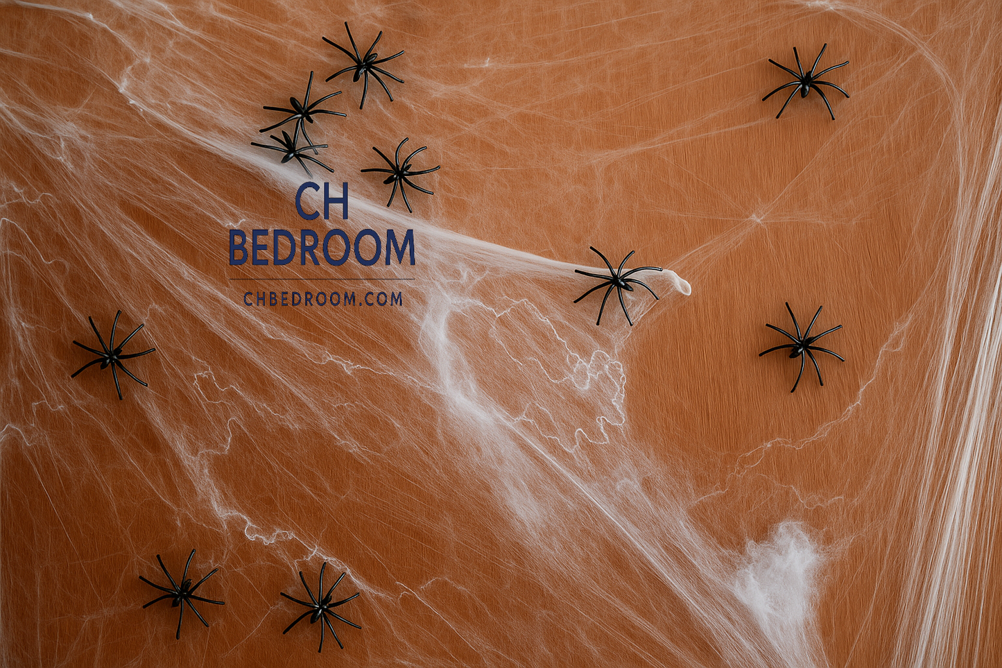 Halloween decoration of 10 spiders on a web with 'CH Bedroom' branding indoor and outdoor #canada #montreal #quebec #ontario #canadahalloween #halloweendecoration #buyhalloweendecoration #spiderweb #spiderwebdecoration #cheaphalloweendecoration #halloweenspiders #indoorhalloweendecoration #outdoorhalloweendecoration


